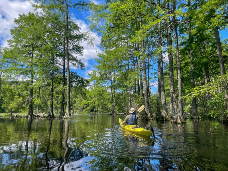 Beth Baker of Greenwood won the Southern Delaware Freestyle category with her shot of “Kayaker on Trap Pond, Laurel.”